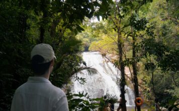 Prefeitura de São Sebastião e Fundação Florestal renovam cooperação para gestão de trilhas no Parque Estadual