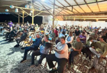 Inscrições abertas para oficina de boas práticas de observação de baleias em São Sebastião