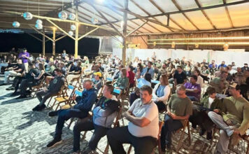 Inscrições abertas para oficina de boas práticas de observação de baleias em São Sebastião