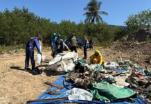 Prefeitura remove 924 kg de resíduos do Mangue do Colhereiro e reforça preservação