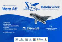 São Sebastião realiza 1º Baleia Week com programação voltada à educação ambiental e cultura oceânica