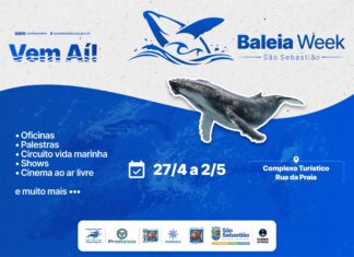 São Sebastião realiza 1º Baleia Week com programação voltada à educação ambiental e cultura oceânica