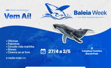 São Sebastião realiza 1º Baleia Week com programação voltada à educação ambiental e cultura oceânica