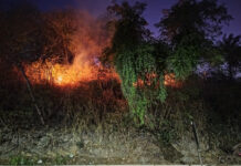 Defesa Civil de São Sebastião participa de oficina preparatória da Operação SP Sem Fogo