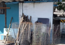 Prefeitura apreende materiais usados em cercamento irregular na APA Baleia Sahy, na Costa Sul