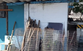 Prefeitura apreende materiais usados em cercamento irregular na APA Baleia Sahy, na Costa Sul