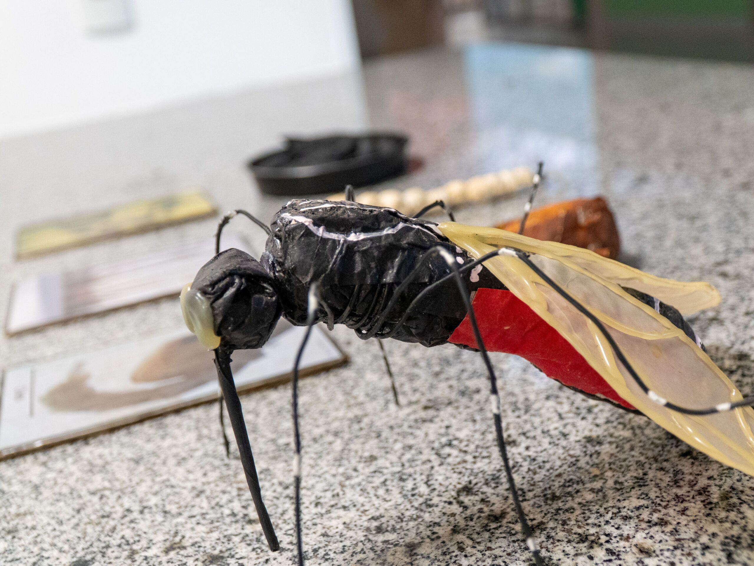 Prefeitura lança projeto para formar alunos multiplicadores na prevenção ao Aedes aegypti