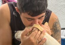 Centro de Controle de Zoonoses promove nova feira de adoção neste sábado