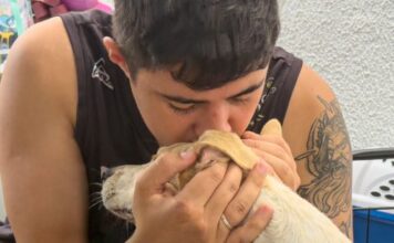 Centro de Controle de Zoonoses promove nova feira de adoção neste sábado