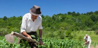 São Sebastião orienta produtores locais sobre chamadas públicas do PNAE para alimentação escolar