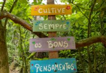 Projeto RegenerAção 2026 será lançado com foco em educação ambiental e biodiversidade