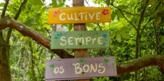 Projeto RegenerAção 2026 será lançado com foco em educação ambiental e biodiversidade