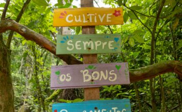 Projeto RegenerAção 2026 será lançado com foco em educação ambiental e biodiversidade