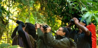São Sebastião fortalece turismo de observação de aves com ação formativa para monitores ambientais