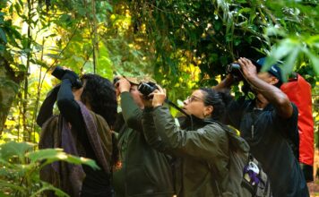 São Sebastião fortalece turismo de observação de aves com ação formativa para monitores ambientais