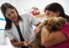São Sebastião retoma vacinação antirrábica gratuita após regularização de doses