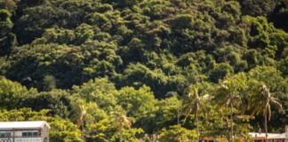 São Sebastião registra crescimento do turismo e aumento da ocupação hoteleira em abril de 2026