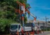 EDP realiza no domingo mutirão de podas e modernização da rede elétrica no Centro de São Sebastião