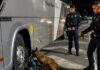 Cachorra do Canil da Polícia Municipal de São Sebastião ajuda na apreensão de drogas em ônibus na Tamoios