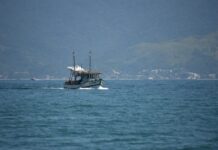 Ilhabela comunica pescadores artesanais para regularização de embarcações pelo Propesc