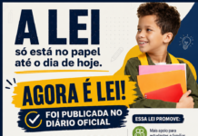 Psicólogos e assistentes sociais nas escolas públicas: Lei 13.935 já está em vigor, mas implementação ainda enfrenta desafios