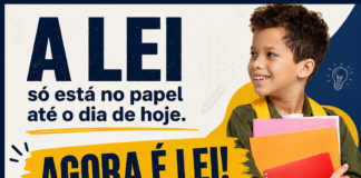 Psicólogos e assistentes sociais nas escolas públicas: Lei 13.935 já está em vigor, mas implementação ainda enfrenta desafios