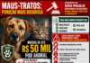 Governo de SP endurece punições para maus-tratos a animais