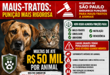 Governo de SP endurece punições para maus-tratos a animais