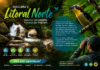 ‘Birdwatching’: conheça destinos no litoral norte para observar pássaros