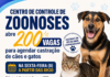 Centro de Controle de Zoonoses abre 200 vagas para agendar castração de cães e gatos