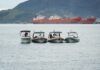 Prefeitura de Ilhabela intensifica monitoramento de avistamento de baleias e reforça orientações para turismo responsável