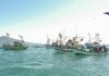 Festa de São Pedro reúne fiéis e pescadores na tradicional procissão marítima em São Sebastião