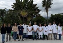 São Sebastião cria programa ‘Saúde em Casa’ e leva atendimento multiprofissional a pacientes com dificuldade de locomoção