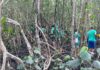 Semana do Meio Ambiente de São Sebastião deixa legado de sustentabilidade para as novas gerações