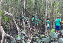 Semana do Meio Ambiente de São Sebastião deixa legado de sustentabilidade para as novas gerações