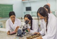 Vagas de estágio para estudantes de Farmácia: SP tem 94 oportunidades para alunos do ensino técnico