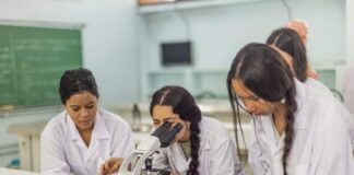 Vagas de estágio para estudantes de Farmácia: SP tem 94 oportunidades para alunos do ensino técnico