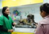 PATA Móvel percorre 9 bairros para levar atendimento veterinário gratuito em São Sebastião