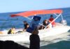 São Sebastião reforça monitoramento e orientações para garantir avistamento responsável de baleias