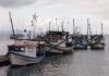 Embarcações passam por vistoria do Ministério da Pesca e Aquicultura em São Sebastião
