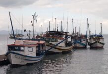 Embarcações passam por vistoria do Ministério da Pesca e Aquicultura em São Sebastião