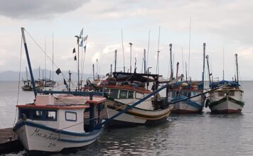 Embarcações passam por vistoria do Ministério da Pesca e Aquicultura em São Sebastião