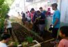 Prefeitura atende mais de 580 pessoas com projeto ‘Horta para Todos’ no 1º semestre de 2026