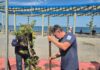 Prefeitura amplia arborização urbana na Costa Sul com plantio de 53 mudas nativas em Boiçucanga