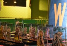 Inscrições para 48º Salão de Artes Plásticas Waldemar Belisário seguem abertas até 7 de agosto