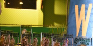 Inscrições para 48º Salão de Artes Plásticas Waldemar Belisário seguem abertas até 7 de agosto