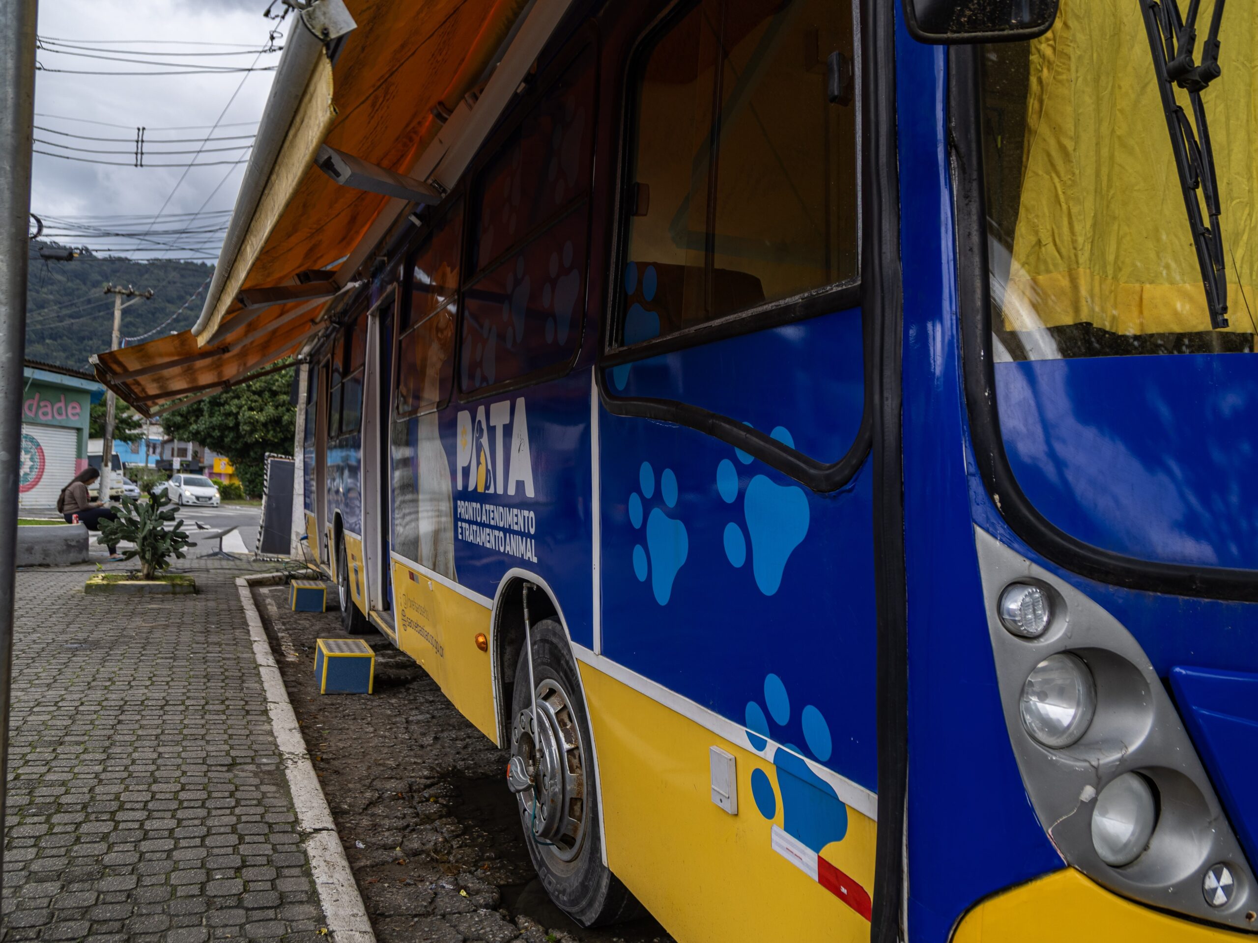 PATA Móvel inicia atendimento humanizado para pets da Costa Sul até começo de setembro