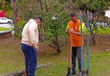 São Sebastião promove plantio de mudas e reforça ações de arborização urbana no bairro Topolândia
