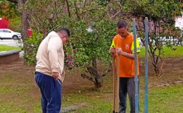 São Sebastião promove plantio de mudas e reforça ações de arborização urbana no bairro Topolândia