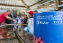 Educação Integral amplia experiências de aprendizagem de alunos com vivência ambiental no Cebimar